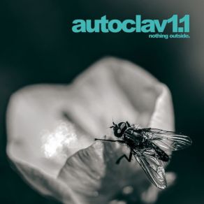 Download track Weeds Still Push Through Autoclav1. 1