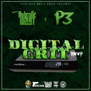 Download track Digital Grit (Interlude) P3