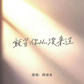 Download track 就当你从没来过 Pang Qiu Yu