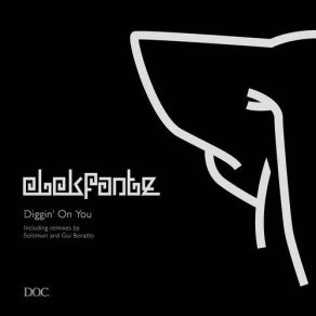 Download track Diggin On You (Original Mix) Elekfantz