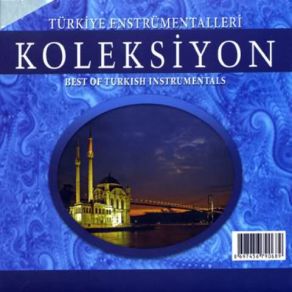 Download track Saza Niye Gelmedin Türkiye Enstrümantalleri