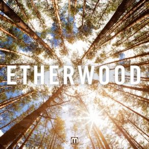 Download track Hold Your Breath Etherwood