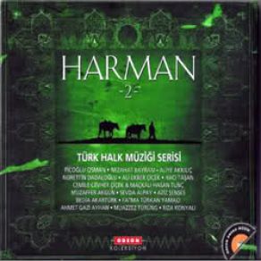 Download track Çubuk Telden Bağlama Rıza Konyalı