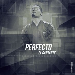 Download track No Puedo Verte Perfecto El Cantante