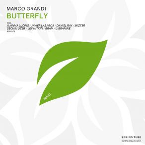 Download track Butterfly (Mizt3r Remix) Marco Grandi