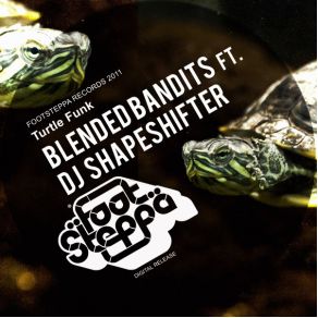 Download track Turtlefunk Shapeshifter, Blended Bandits