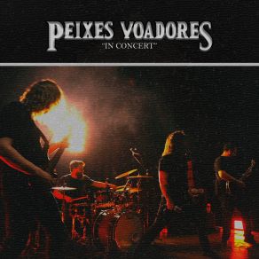 Download track Beyond The Sun (Live) Peixes Voadores