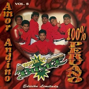 Download track Amor Andino Tropical Del Boske