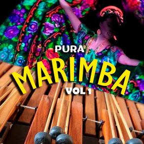 Download track Zacatlán Marimba Juárez