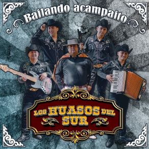 Download track Vagabundo, Borracho Y Loco Los Huasos Del Sur