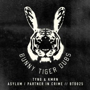 Download track Asylum KmrnTyng