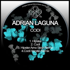 Download track Hipster (Original Mix) Adrian Laguna