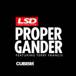 Download track Proper Gander (Terry Francis Remix) Terry Francis, Lunacy Sound Division