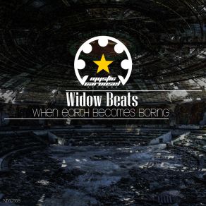 Download track Black Candles In Paris (Original Mix) Widow Beats