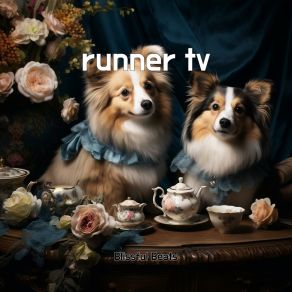 Download track Runner Tv Blissful Beats