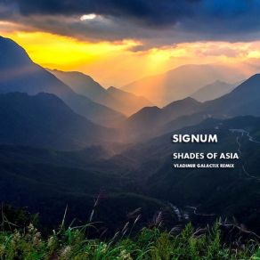 Download track Shades Of Asia (Vladimir Galactix Remix) Signum