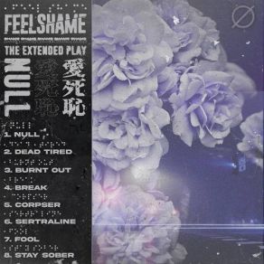 Download track Burnt Out Feelshame