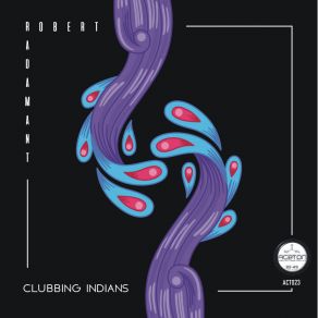 Download track Clubbing Indians (Original Mix) Robert Radamant