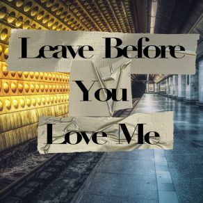 Download track Leave Before You Love Me Danny McCartney