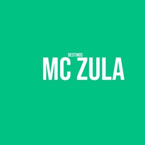 Download track Sin Falta Mc Zula