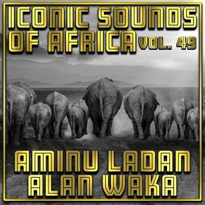 Download track Hangen Dala Baba Aminu Ladan Alan Waka