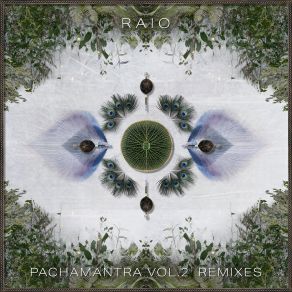 Download track Bichinho Na Mata (Temple Step Project Remix) Raio