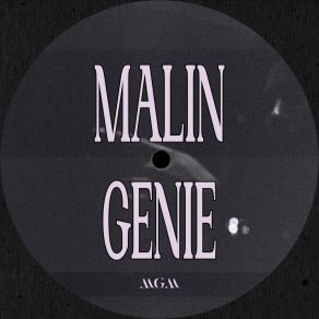 Download track Bodie Malin Genie