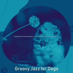 Download track Subtle Morning Dog Walks Groovy Jazz For Dogs