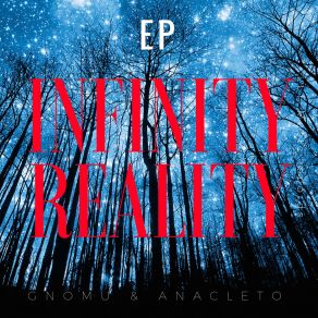 Download track Infinity Reality (Gnomu Remix) Anacleto