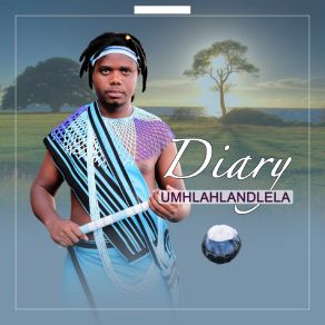 Download track Intoyifunayo The Diary