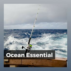 Download track Gulf Stream Sea Waves Sounds