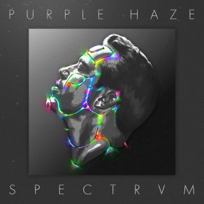 Download track Contrast Sander Van Doorn, Purple Haze