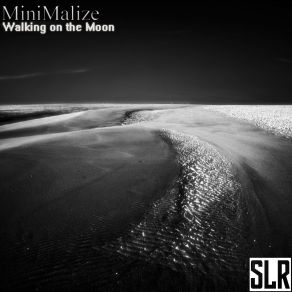 Download track Walking On The Moon (Original Mix) MiniMalize