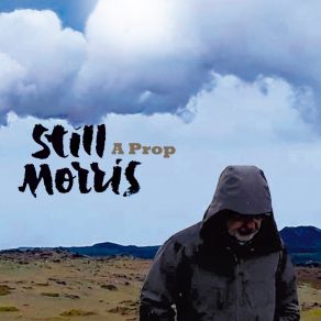 Download track Ocell De Nit Still Morris