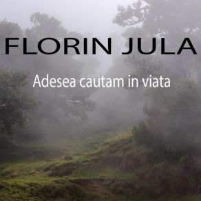 Download track Adesea Cautam Florin Jula