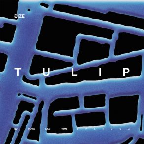 Download track Tulip (Extended Mix) Dize