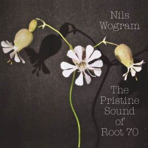 Download track Change Of Scene (Instrumental) Nils Wogram