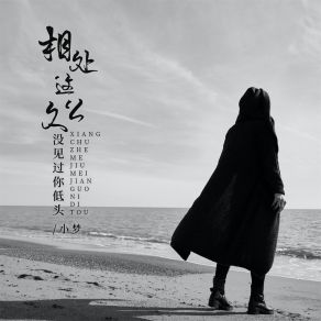 Download track 相处这么久没见过你低头 (DJBanan版) 小梦Banan