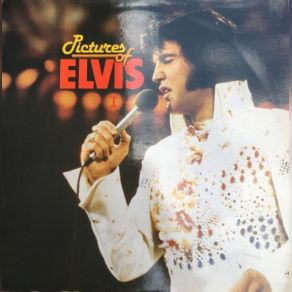 Download track Heartbreak Hotel Elvis Presley