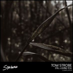 Download track Clouds (Original Mix) Tom Strobe, Lazy Squad