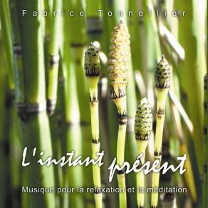 Download track L'Instant Present Fabrice Tonnellier