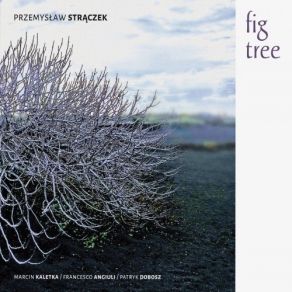 Download track Drzewo Figowe Przemysław Strączek