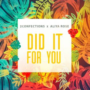 Download track Did It All For You (Instrumental) Aliya Rose