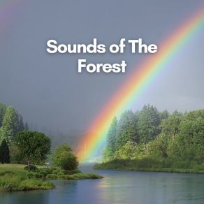 Download track Nature Is Very Colourful Natural Sound Makers