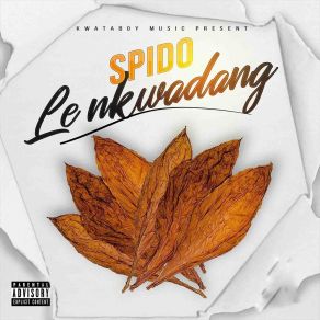 Download track Dans La Boite Spido