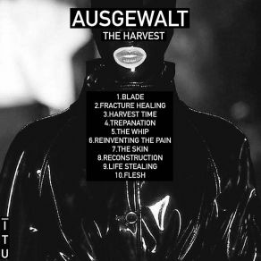 Download track Reinventing The Pain Ausgewalt