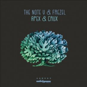 Download track Apex The Note V, Frezel