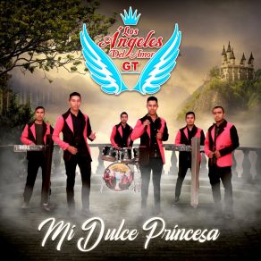 Download track El Corrido Del Paquiz Los Ángeles Del Amor GT