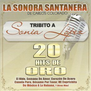 Download track Mi Caprichito La Sonora Santanera De Carlos Colorado