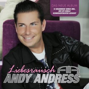 Download track Nein, Ich Glaub Dir Nicht Mehr Andy Andress